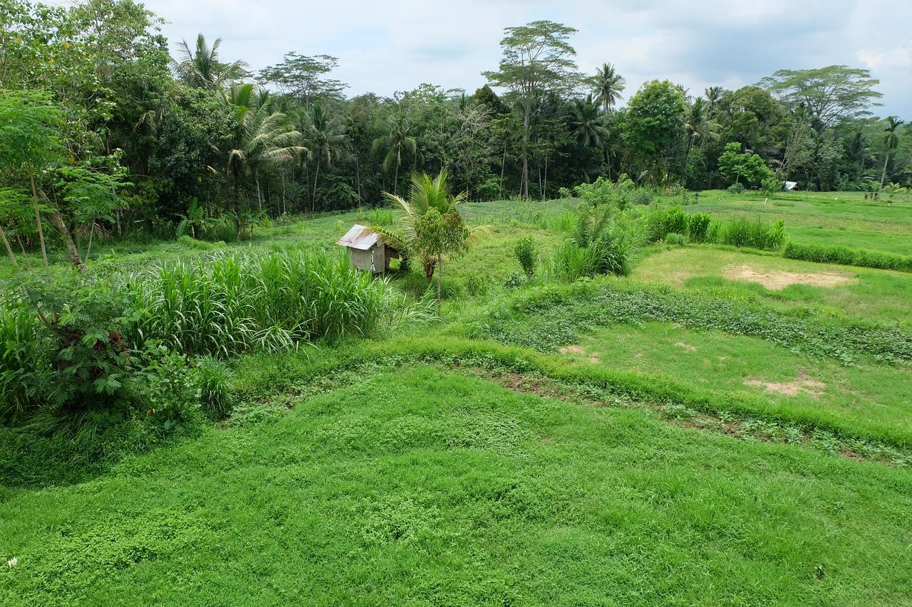 The Rana Villa เตกากาลัง ภายนอก รูปภาพ